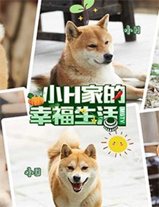 人生下半场再攀高峰