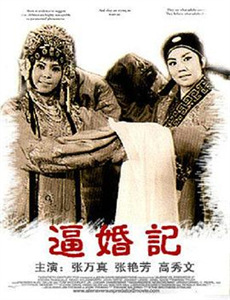 穿越医仙成赘婿